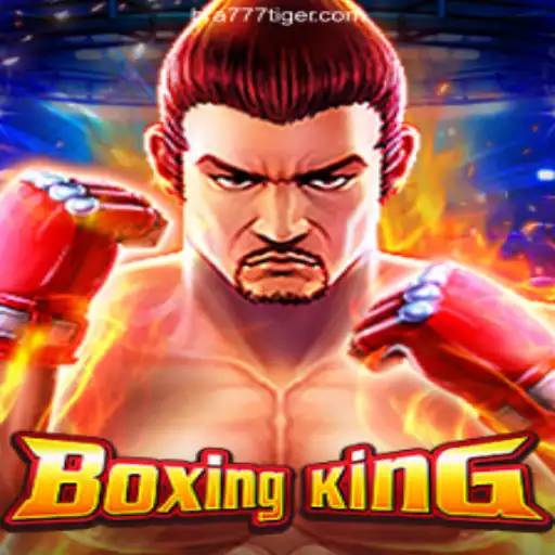 Exploring the Exciting World of BoxingKing