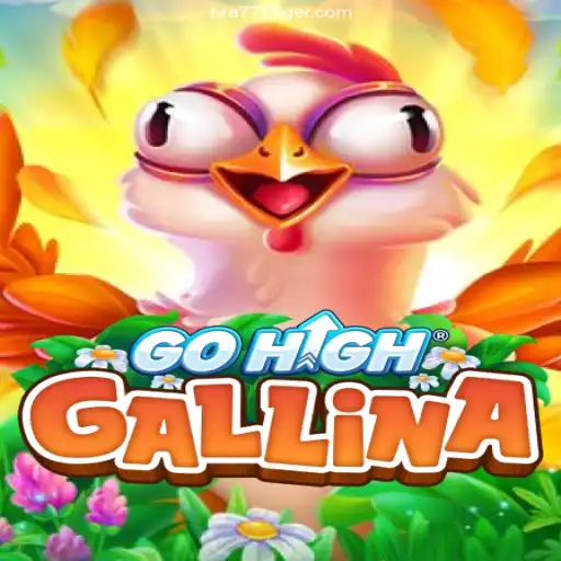 Discovering GoHighGallina: The Latest Sensation in Gaming